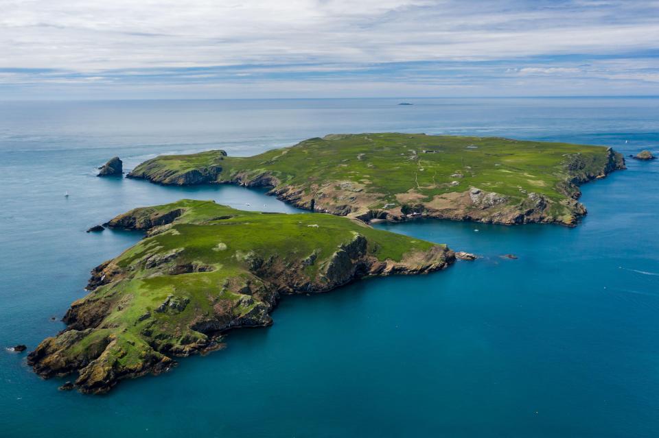 Boat tours around Ramsey and Skomer operate from St David's