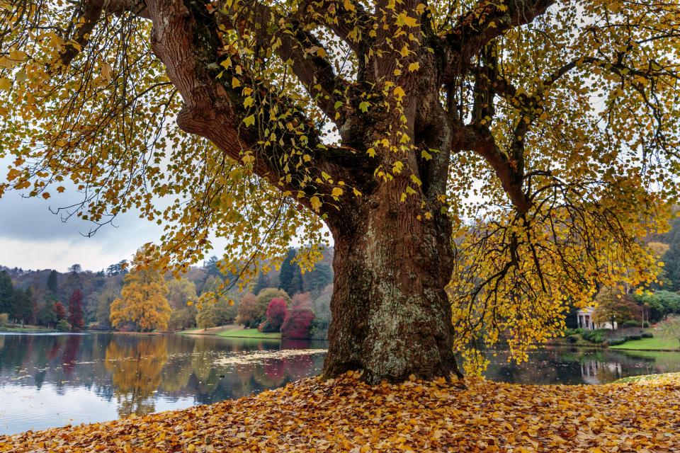 The walk passes through the Stourhead Estate in Somerset