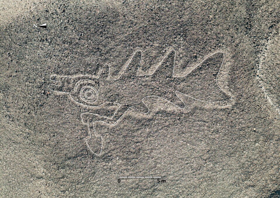 One of the geoglyphs appears to show a knife-wielding orca