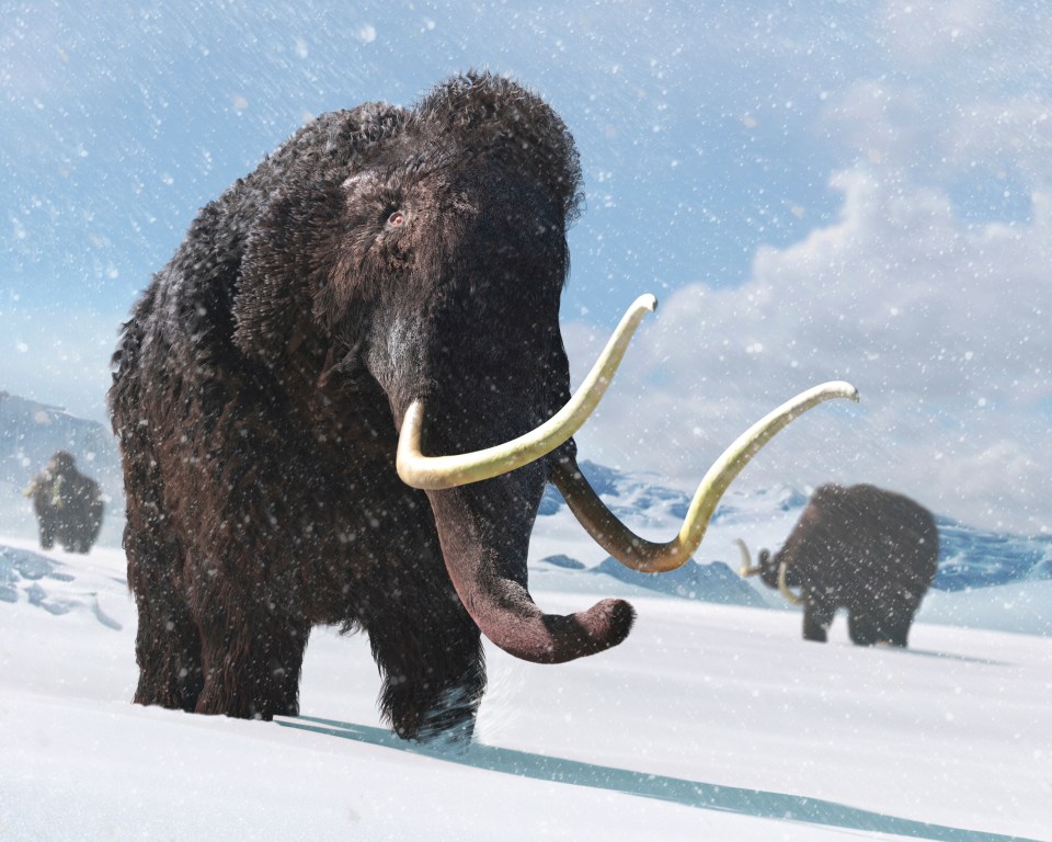 A new theory claims that mammoths were extinct due to hay fever allergies