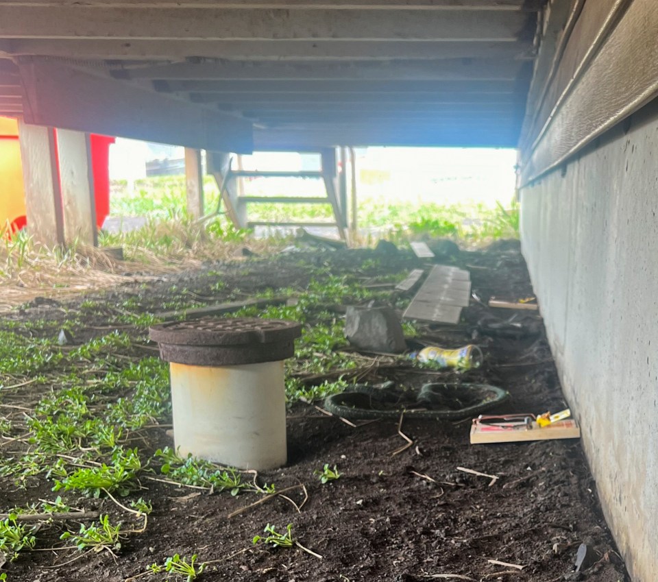 Rat traps have been placed under a residential building on Saint Paul in an effort to eradicate a possible rat