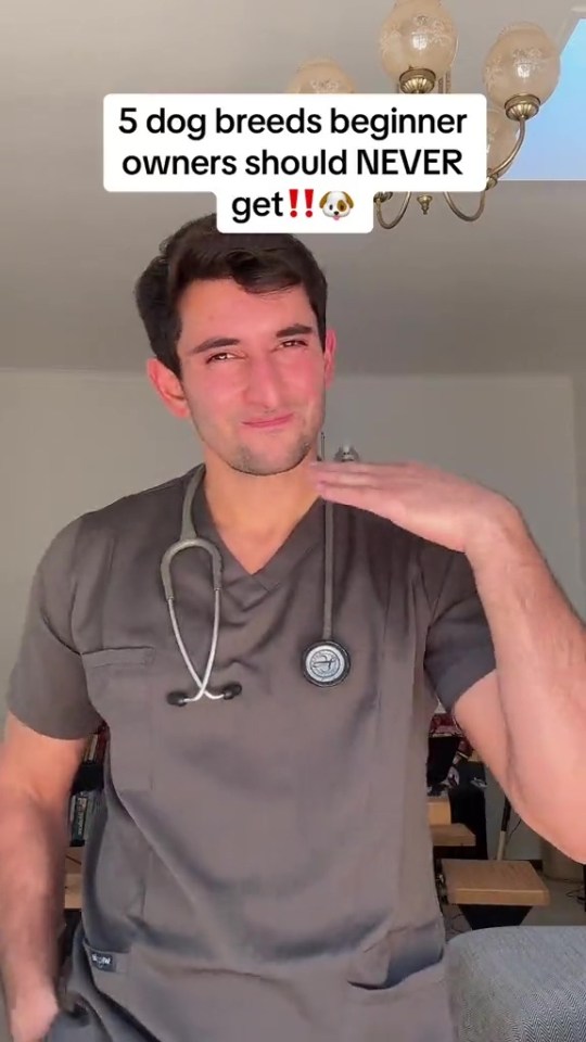 a man in scrubs with a stethoscope around his neck says 5 dog breeds beginner owners should never get