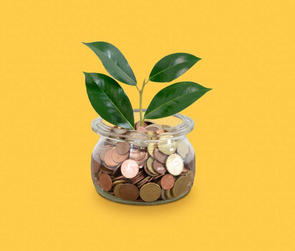 a plant is growing out of a jar of coins