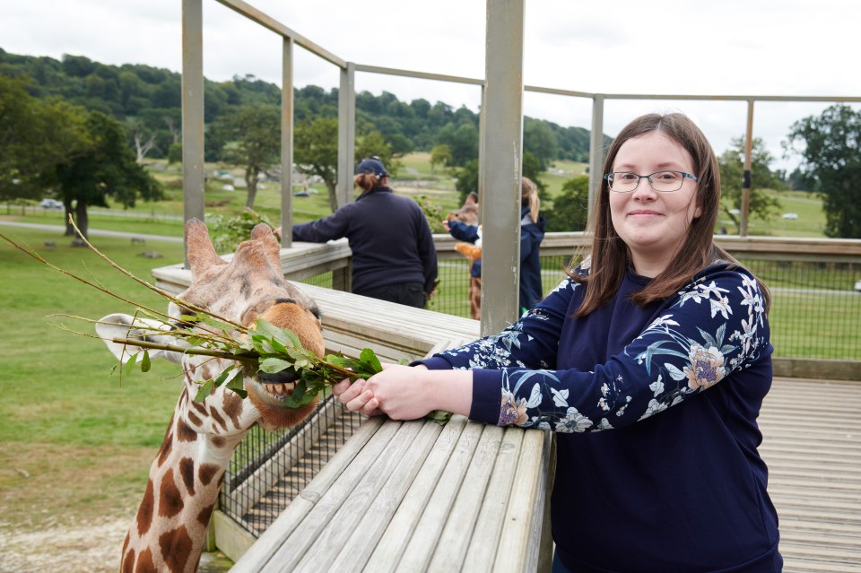 a woman feeds a giraffe with a stick