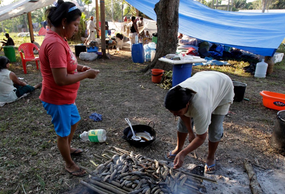 They're one of the only groups left in modern time who maintain a hunter gatherer lifestyle