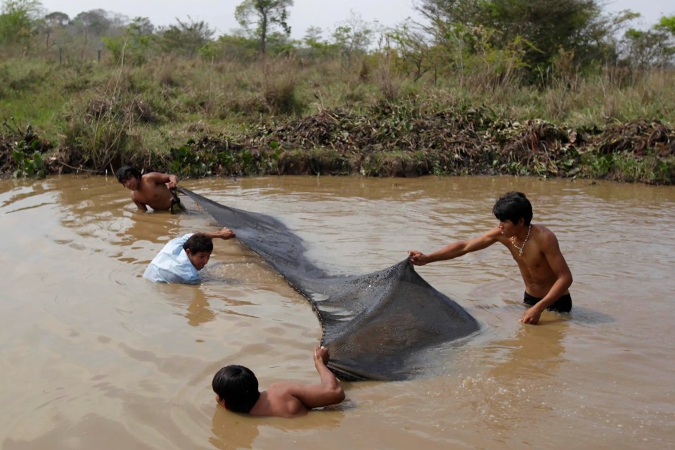 Tsimane men fishing as part of their nomadic food gathering lifestyle