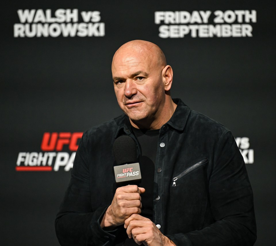 UFC President and CEO Dana White has announced fresh intentions to get into boxing