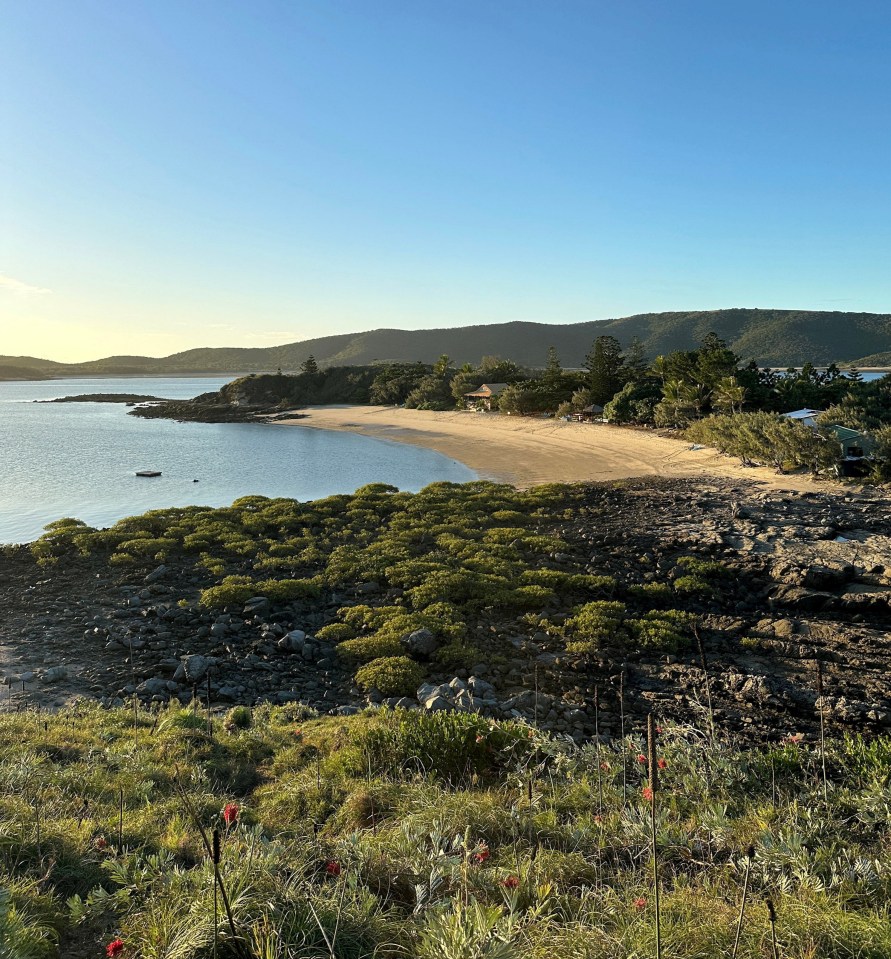 a view of a beach with mountains in the background