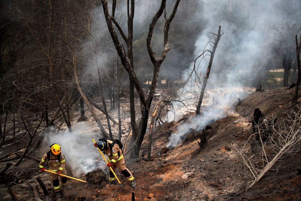 Firefighters work at site of the huge forest blaze