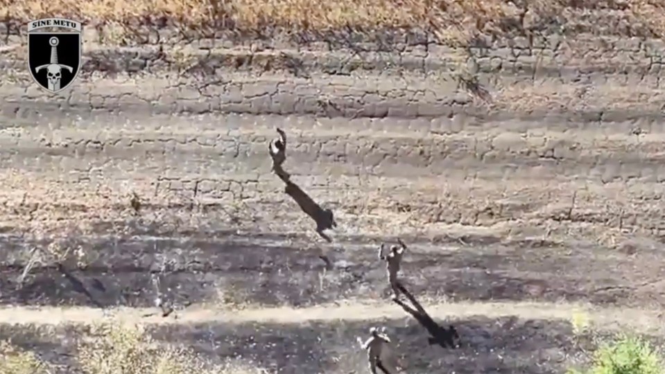 Vision shows soldiers with their hands raised as they surrender