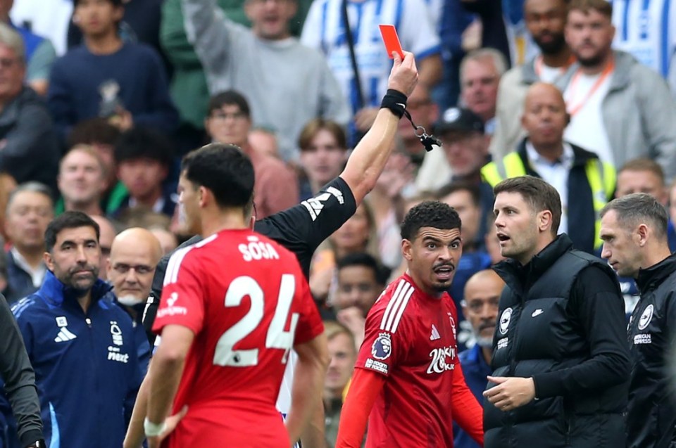 Before Fabian Hurzeler was shown red for his reaction to Gibbs-White's foul just moments later