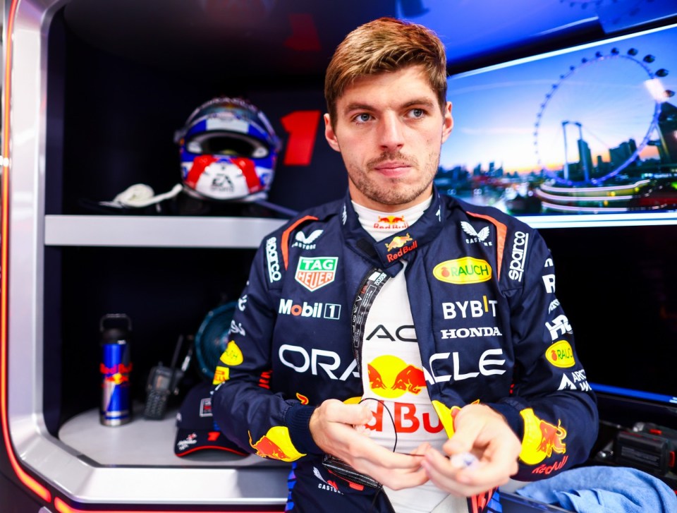 Verstappen received a 'public interest' punishment for swearing at press conference