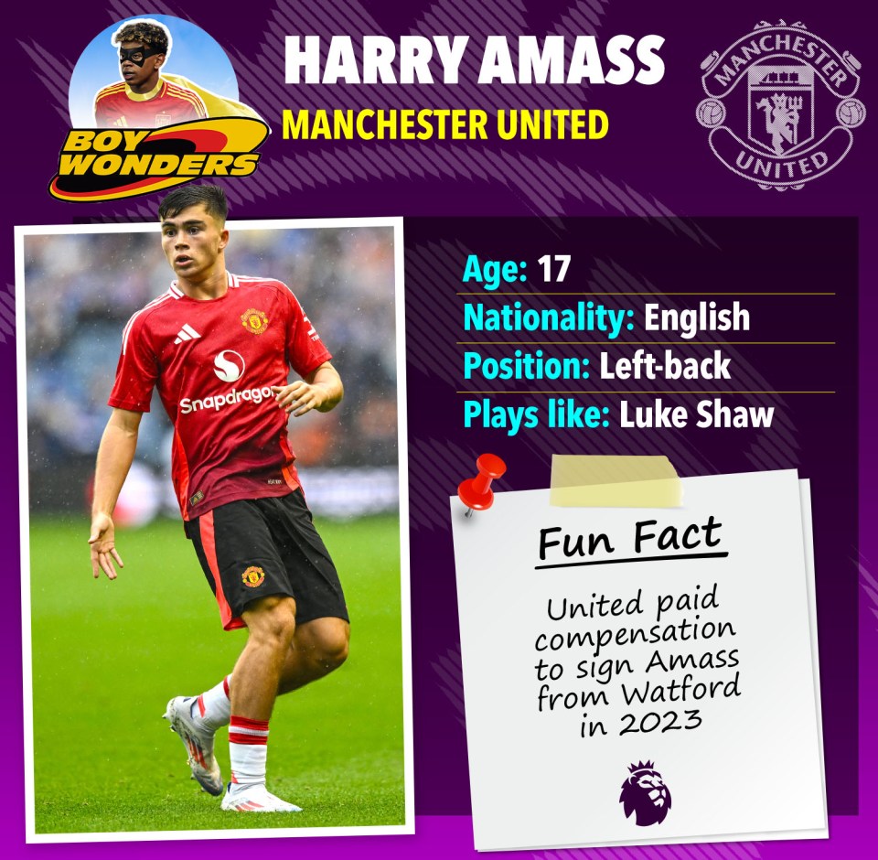 a poster for harry amass from manchester united