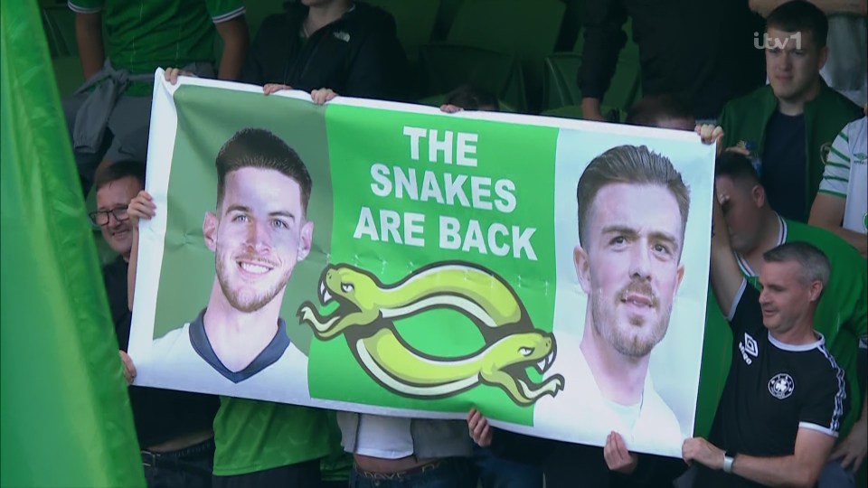 The pair were singled out for jeers and accusations of being 'snakes' having previously played for Ireland at youth level