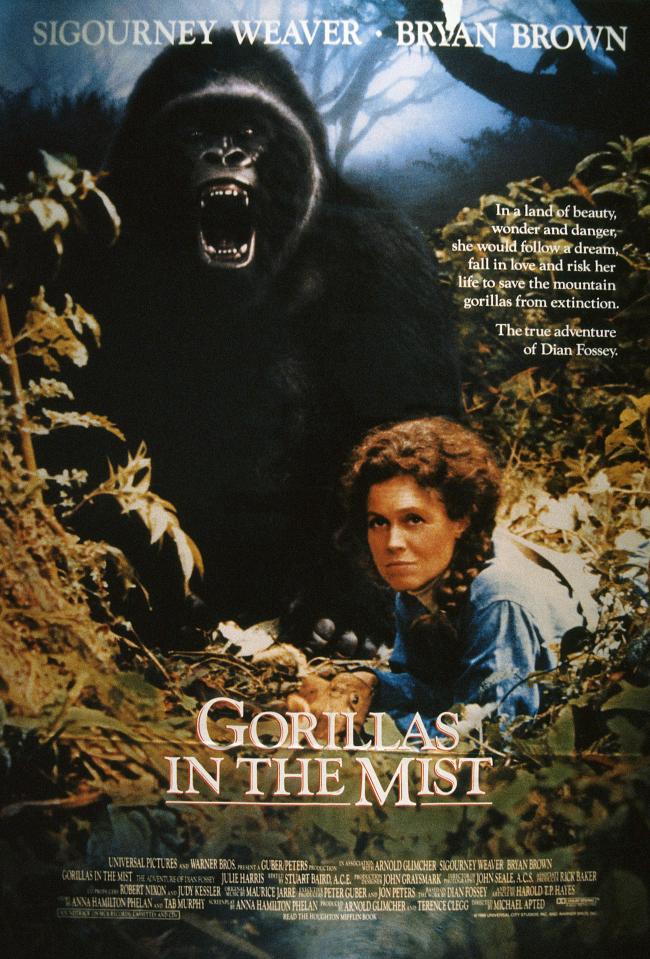 The movie was about the life of Dian Fossey