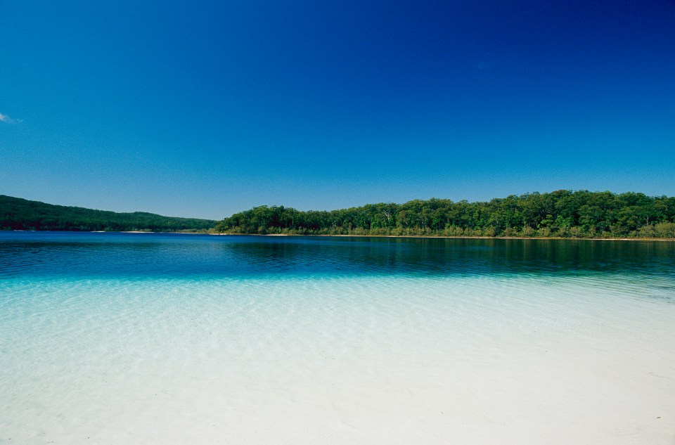 a large body of water with trees in the background