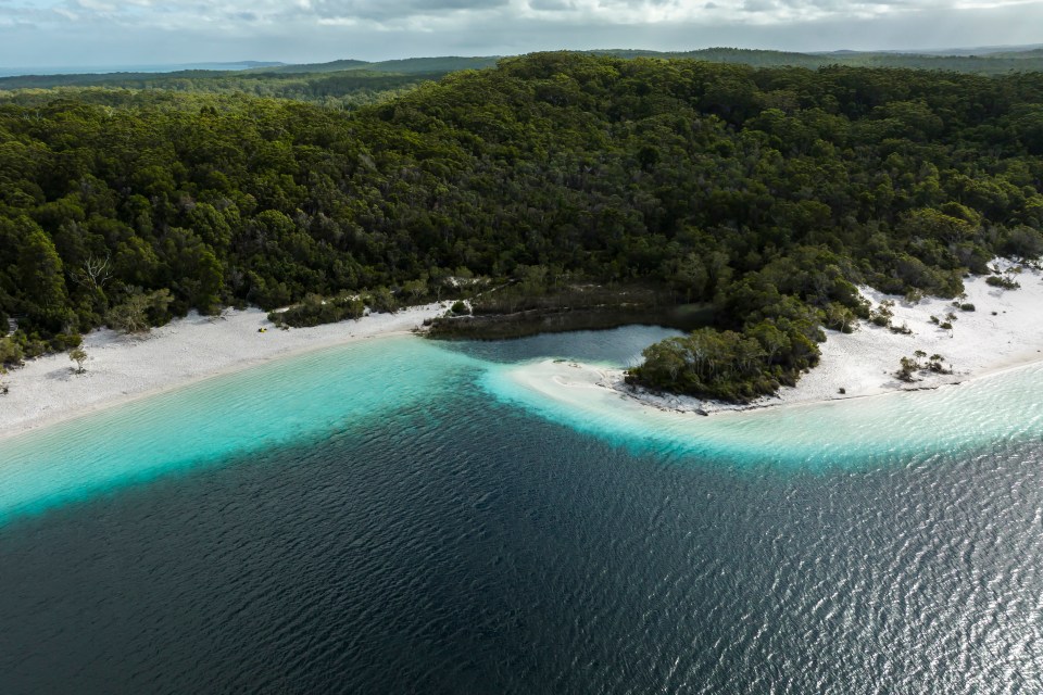 an aerial view of a body of water surrounded by trees