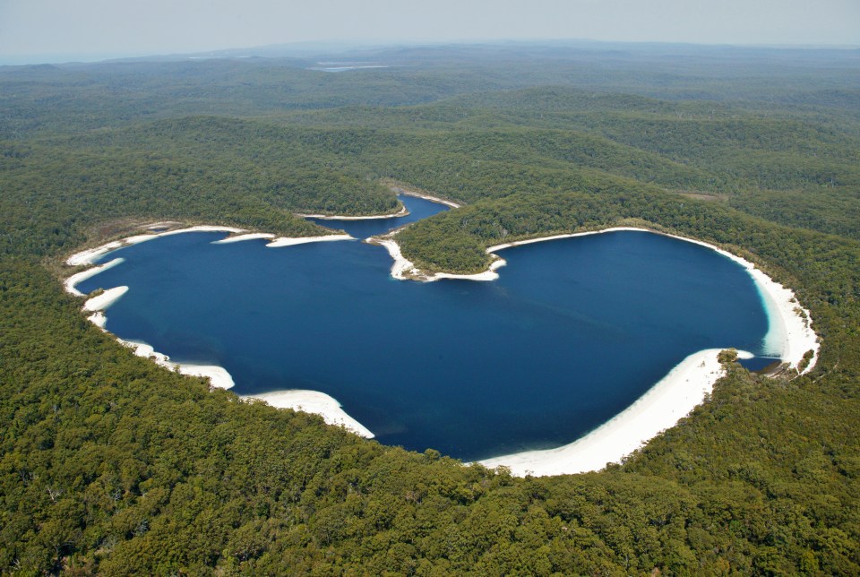 an aerial view of a heart shaped lake surrounded by trees