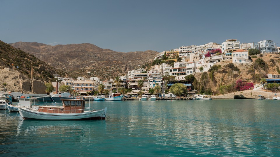 several boats are docked in a harbor with mountains in the background