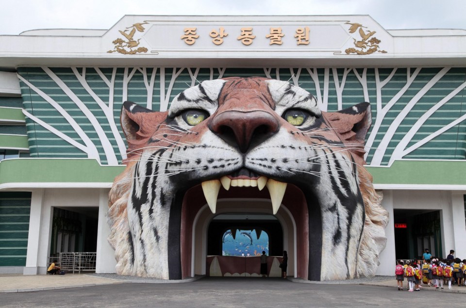 The bizarre entrance to the sad zoo