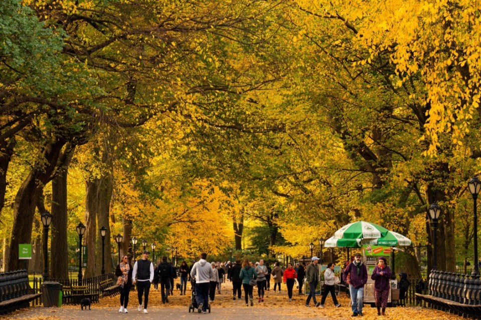 People walk through The Mall in Central Park as autumn colours begin to show. Manhattan, New York, United States. October 28 2022. Release date September 5 2024. The best things about the autumn months are the walks, colourful foliage and comfort food, according to a poll. While many enjoy the crisp air (26 per cent) and nights in watching their favourite TV shows (24 per cent). Cosy blankets (23 per cent), snuggling up on the sofa (21 per cent) and wearing winter knits and jumpers (16 per cent) also rank among the best cosy autumn activities. According to the study of 2,000 adults, autumn is officially cosy season for 30 per cent, while 46 per cent associate it with the winter.