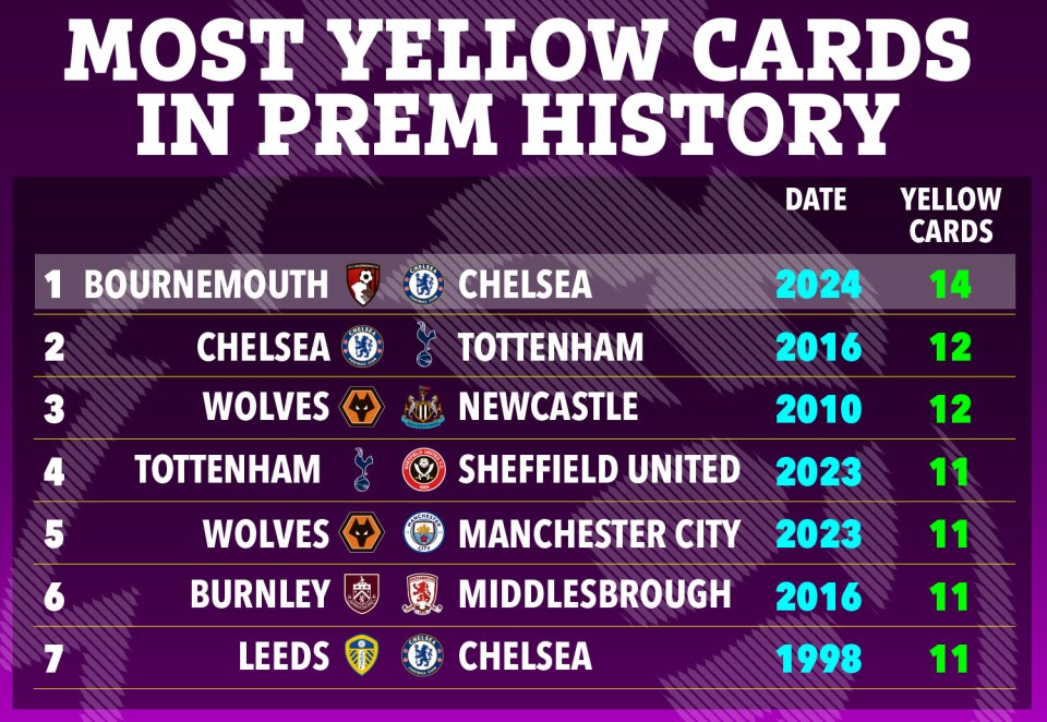 a poster showing the most yellow cards in premier league history