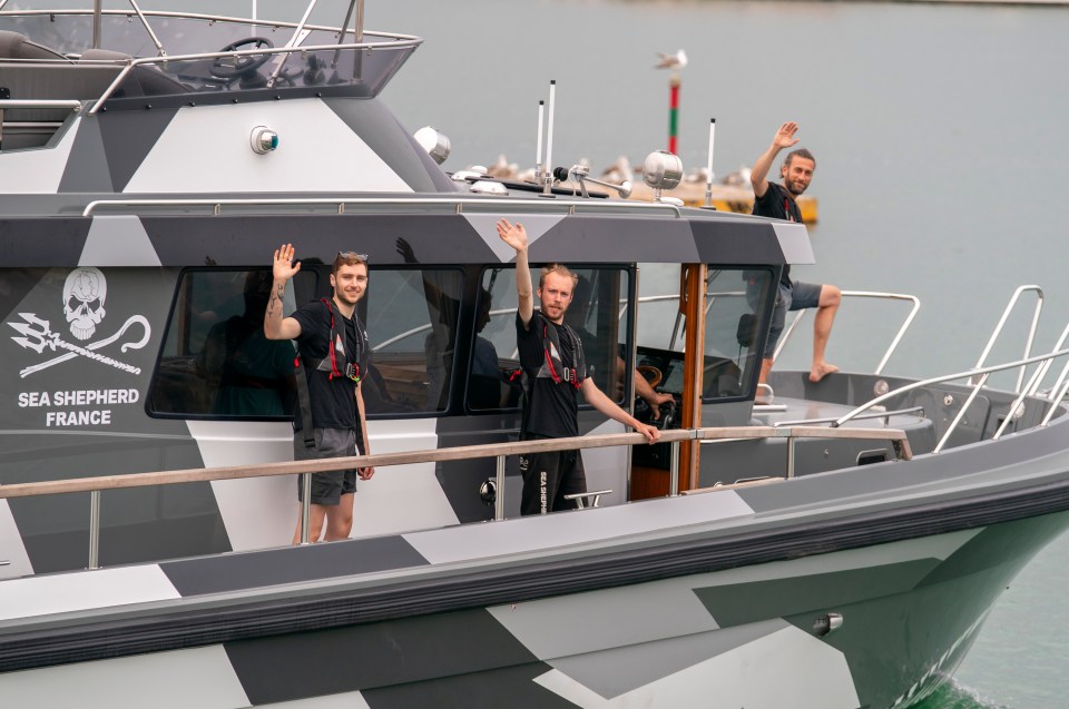 The Sun joined the Sea Shepherd France patrolling the waters for orcas off the Strait of Gibraltar