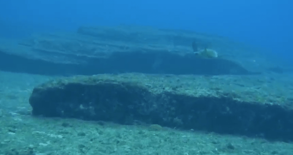 A diver in Japan discovered a series of underwater structure off the coast of Japan