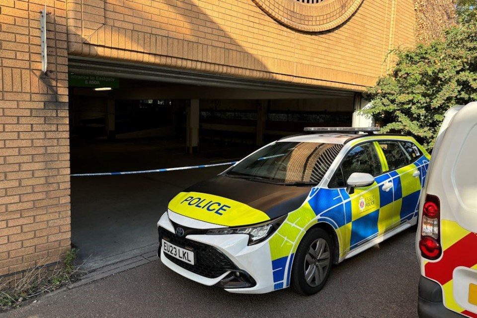 A police car at the scene of the alleged attack