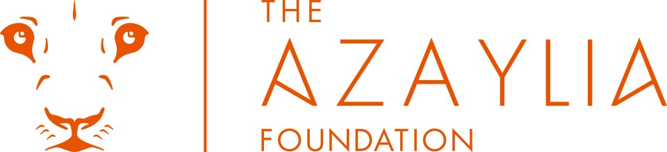 an orange and white logo for the azylia foundation