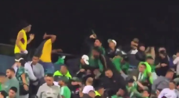 a crowd of people are sitting in a stadium watching a soccer game .