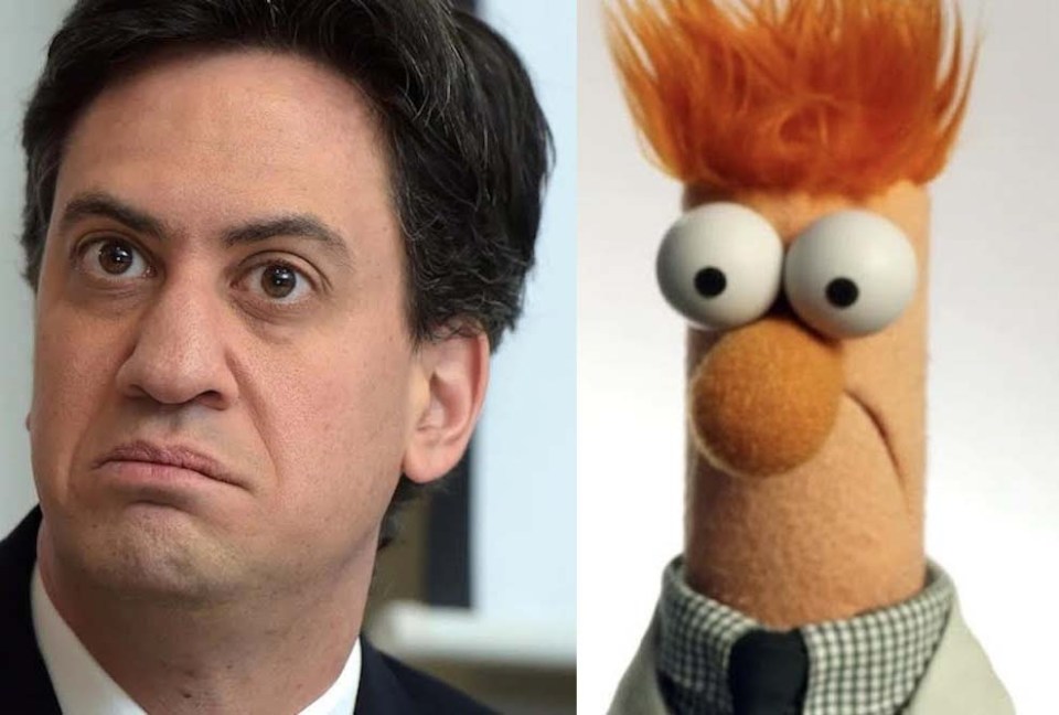 Ed Miliband and Beaker are this week's lookalikes