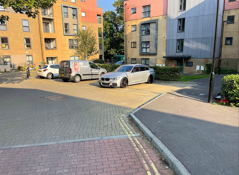 The council painted double yellow lines restricting their drive space