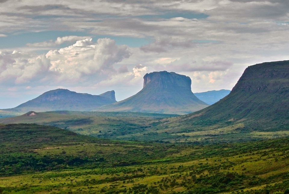 The Chapada Diamantina national park is home to several species, including a large armadillo