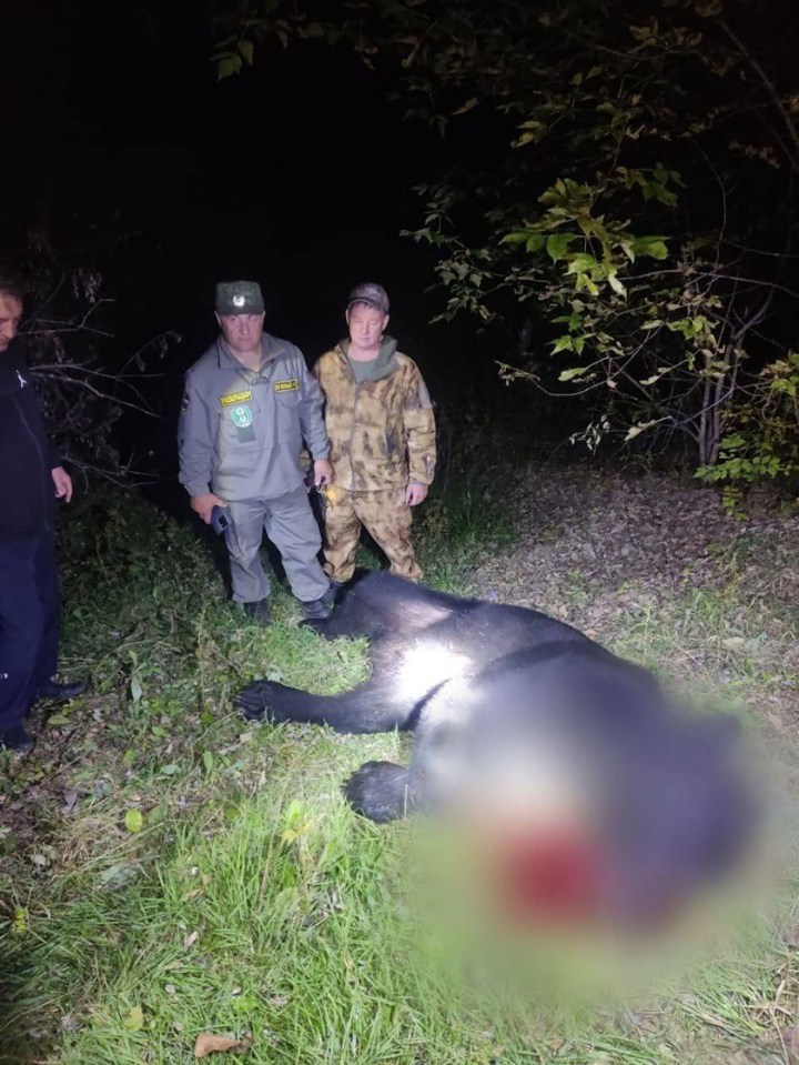 A man-eating bear broke into a home and mauled a father and son to death