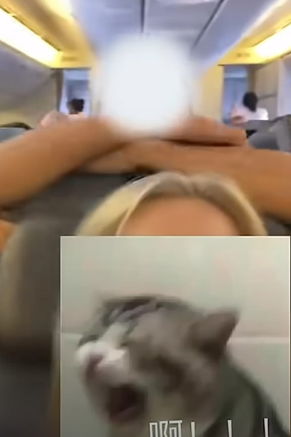 a woman is sitting on an airplane next to a cat with its mouth open .