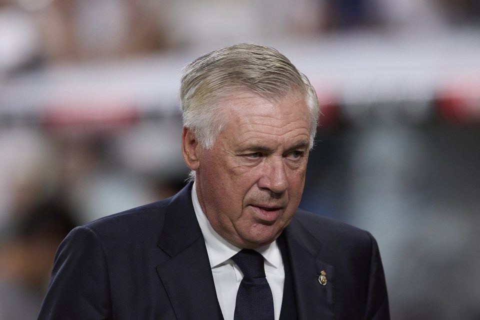 Carlo Ancelotti is prepared to go on strike