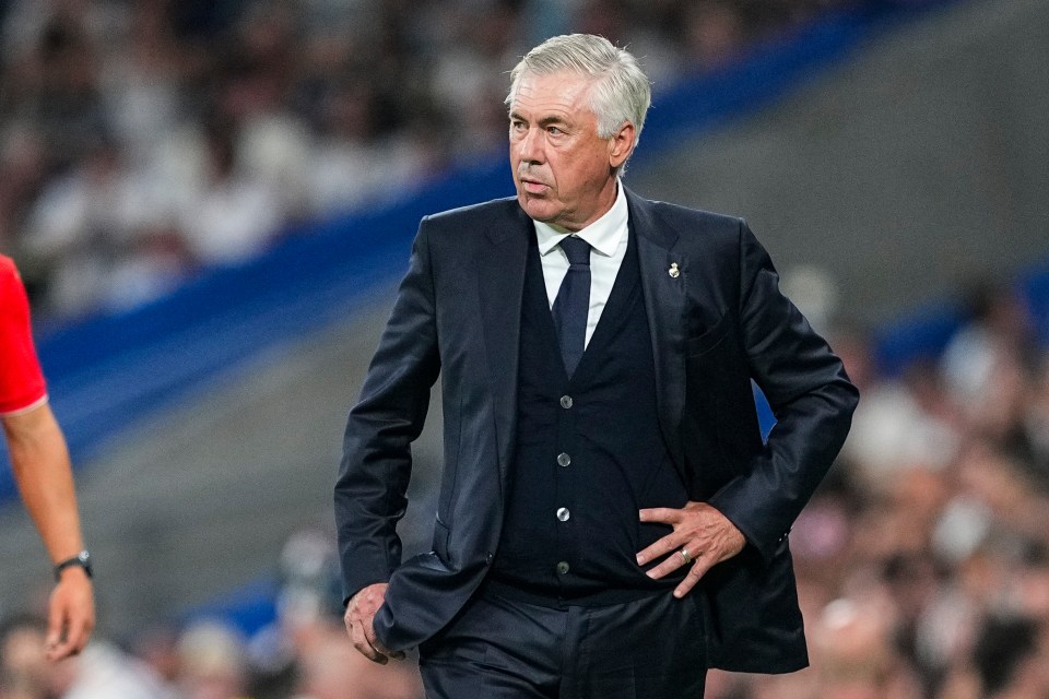 Real Madrid boss Carlo Ancelotti wanted Mangan to 'refresh' his coaching staff