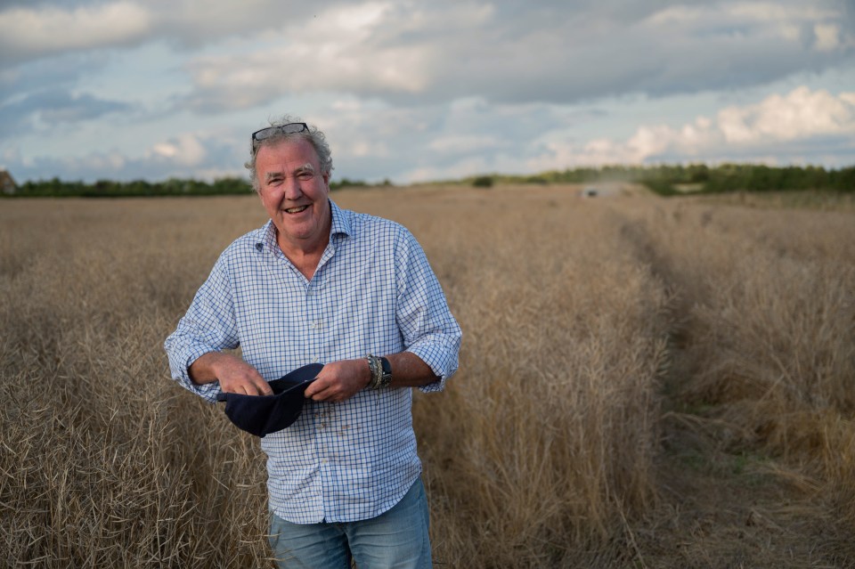 a man in a plaid shirt is standing in a field