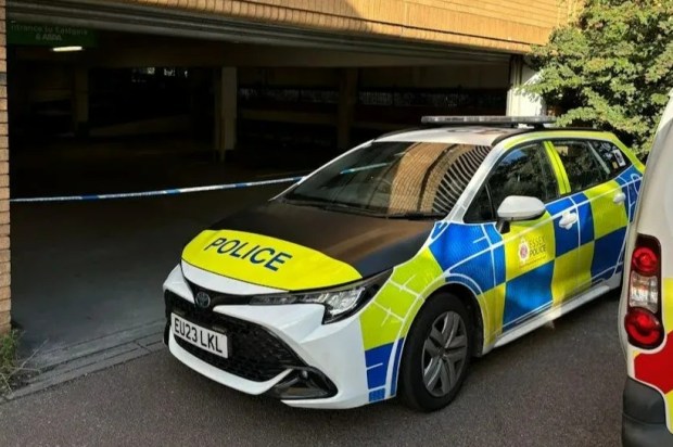 a police car is parked in front of a garage