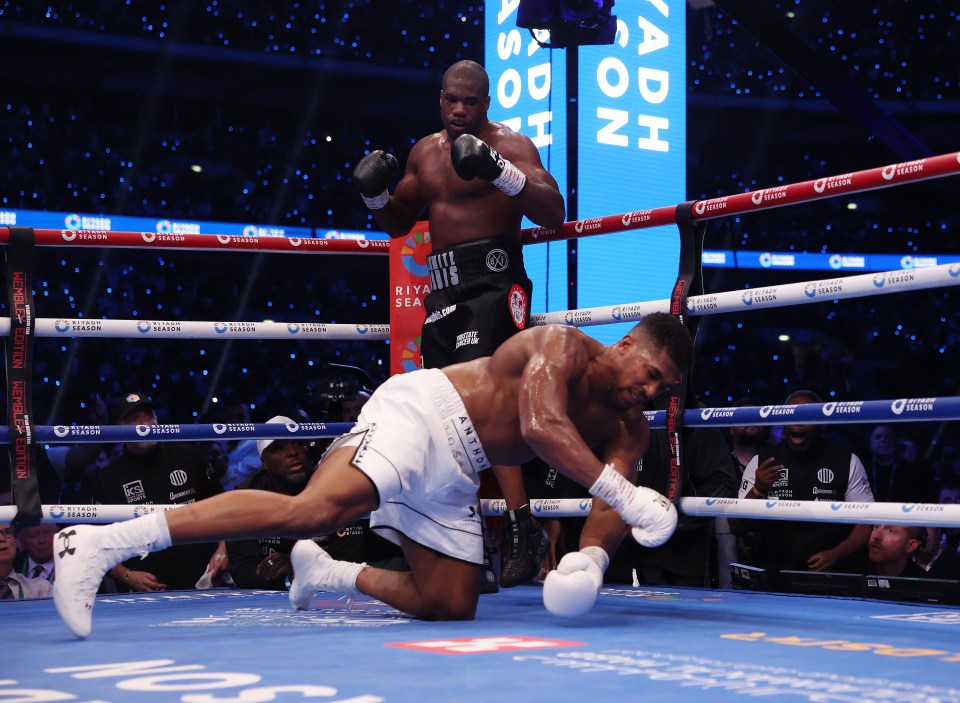 two boxers in a ring with a sign that says ' adh ' on it