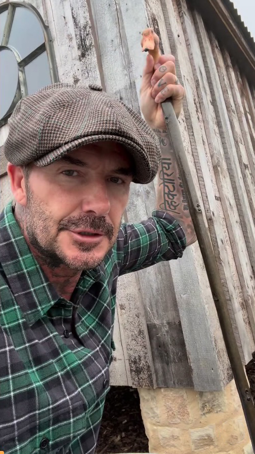 David Beckham has given a new look around his allotment