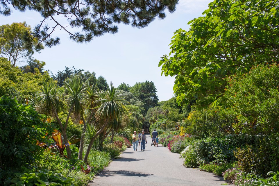 The Isle of Wight's Tropical Gardens have been described as a paradise