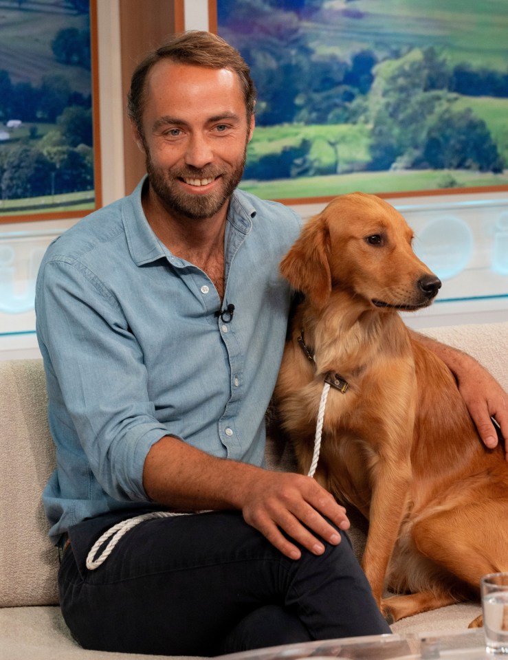 a man is sitting on a couch with a dog on a leash