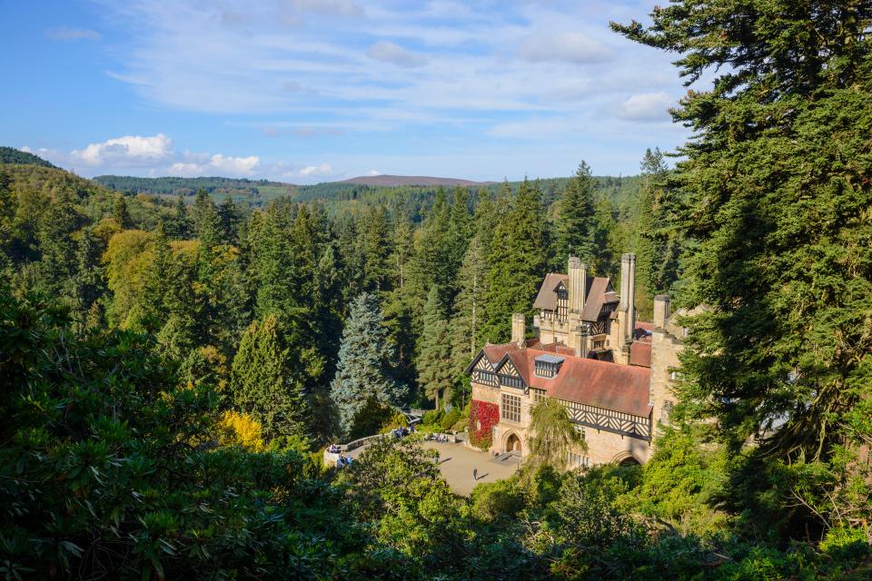 a large house sits in the middle of a forest