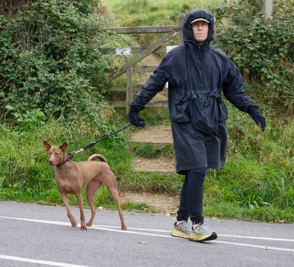 Liam Gallagher was spotted taking a stroll with pet dog Buttons