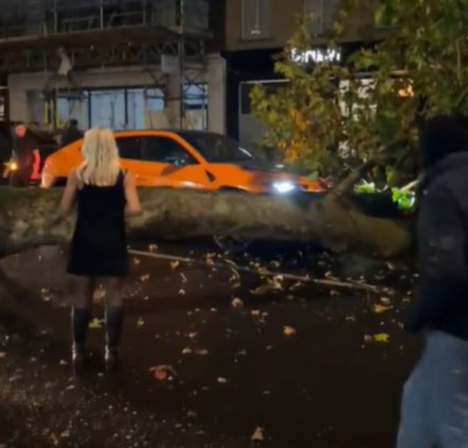 A falling tree crashes to the ground hitting a brand-new £200,000 Lamborghini Urus in Goodge Street, central London