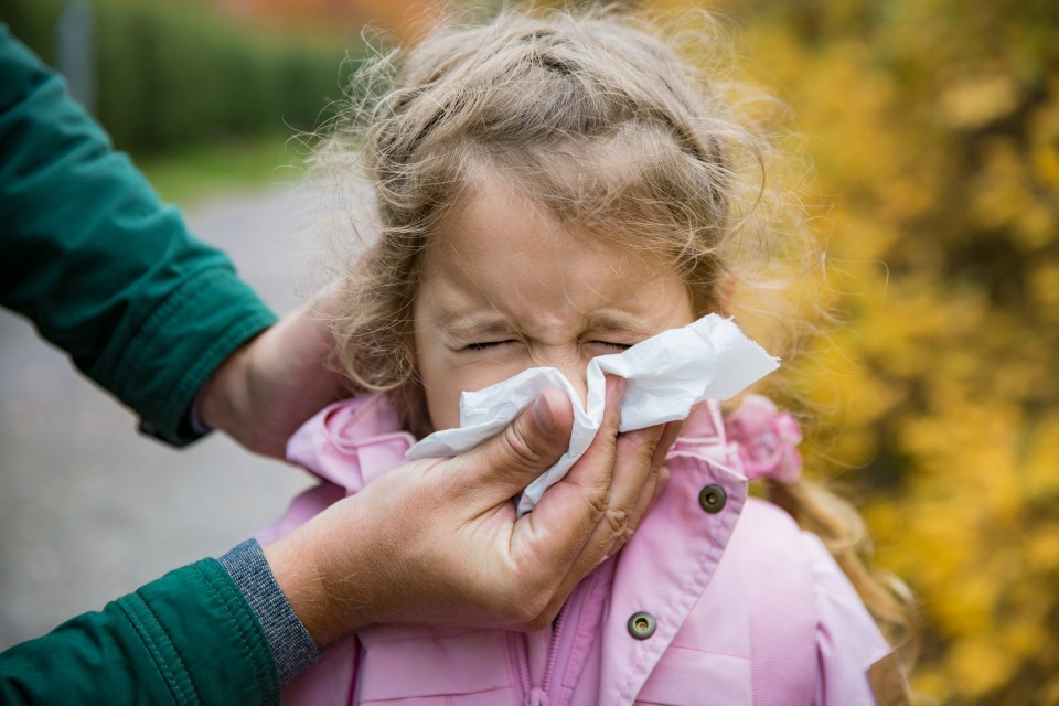 a little girl blowing her nose with a napkin