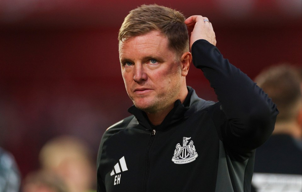 Eddie Howe has admitted to disappointment at Newcastle's transfer window