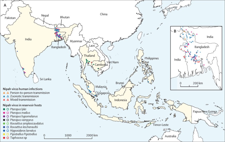 A 2024 study mapped the Nipah virus across nine countries